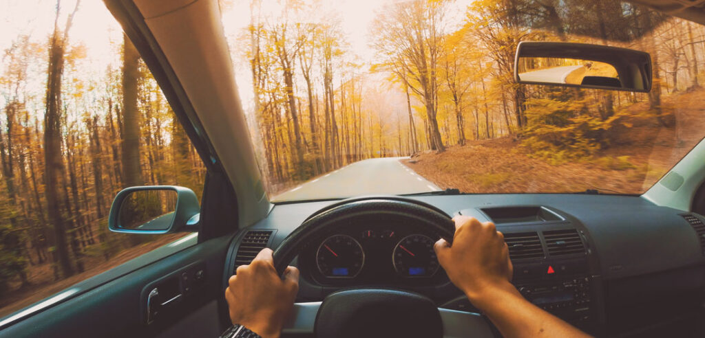 Auto Insurance in North Carolina view from driver's seat on a road with fall leaves